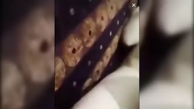 اینبولوی خوشگل رو یه پسر ترک حسابی تو دهنش می کنه.