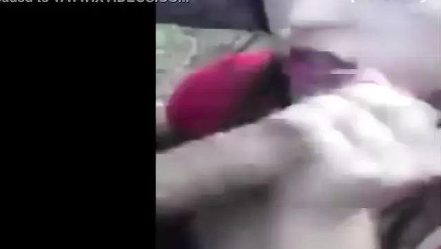 تین ایجر تو پالادینوخن داره بوقلمون می مکه.